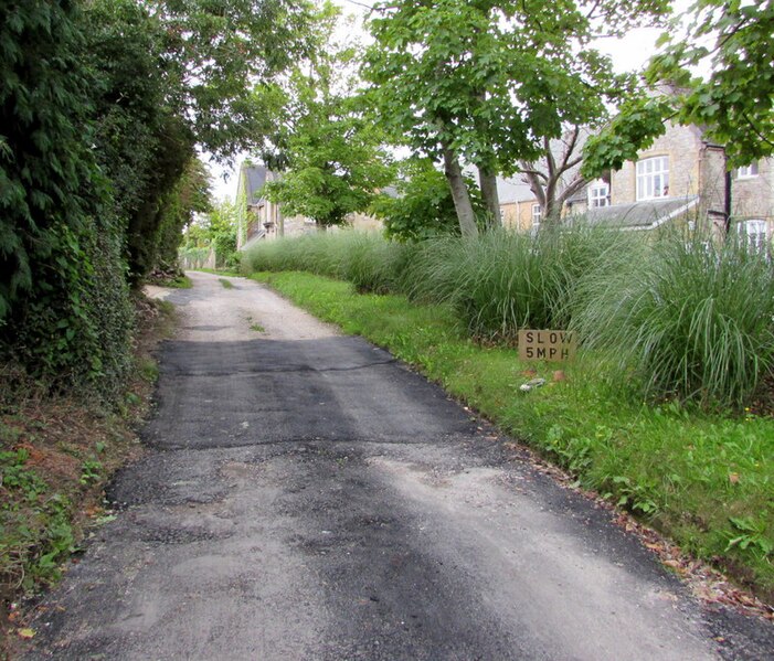 File:SLOW 5MPH notice, Speeds Lane, Havenstreet - geograph.org.uk - 4663046.jpg