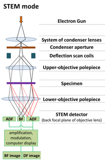 Scanning transmission electron microscopy