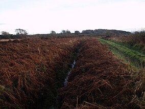 Salta Moss ditch and track.jpg