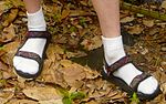 Thumbnail for Socks and sandals