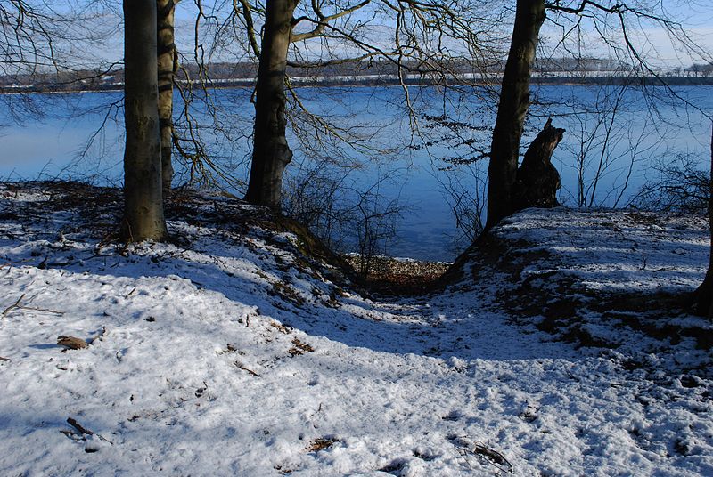 File:Sandbjerg.Sottrupskov.1.JPG