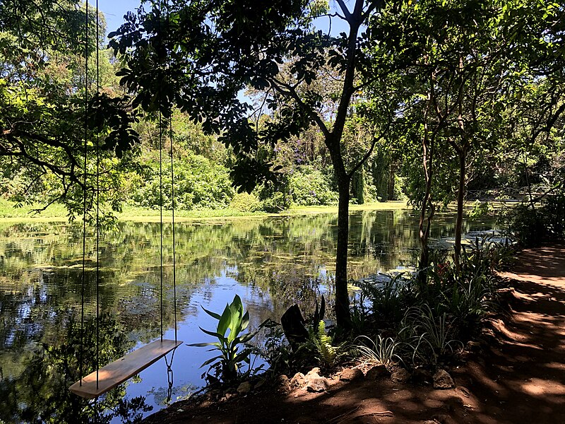 File:Scene at Ngaresero, Usa River, Meru District.jpg