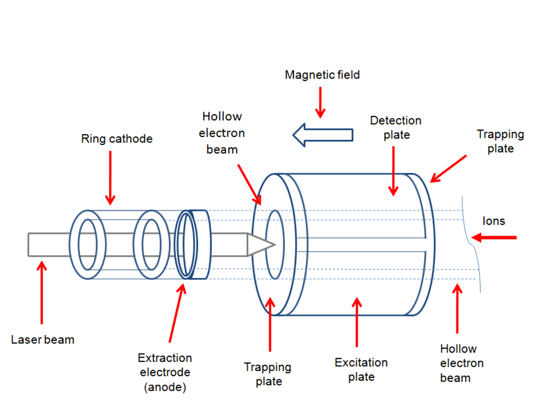 Electron-capture dissociation