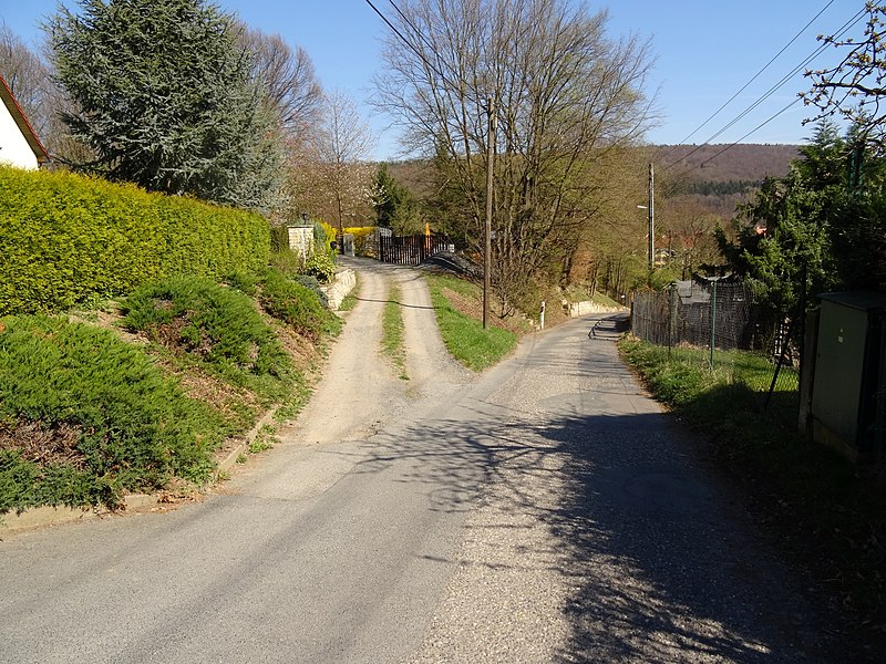 File:Schlegelweg Pirna (33074735524).jpg