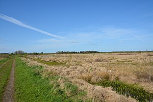 Schleswig-Holstein, Kreis Rendsburg-Eckernförde, Wildes Moor NIK 1553.jpg