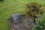 Schleswig-Holstein, Lunden, cemetery NIK 8810.jpg