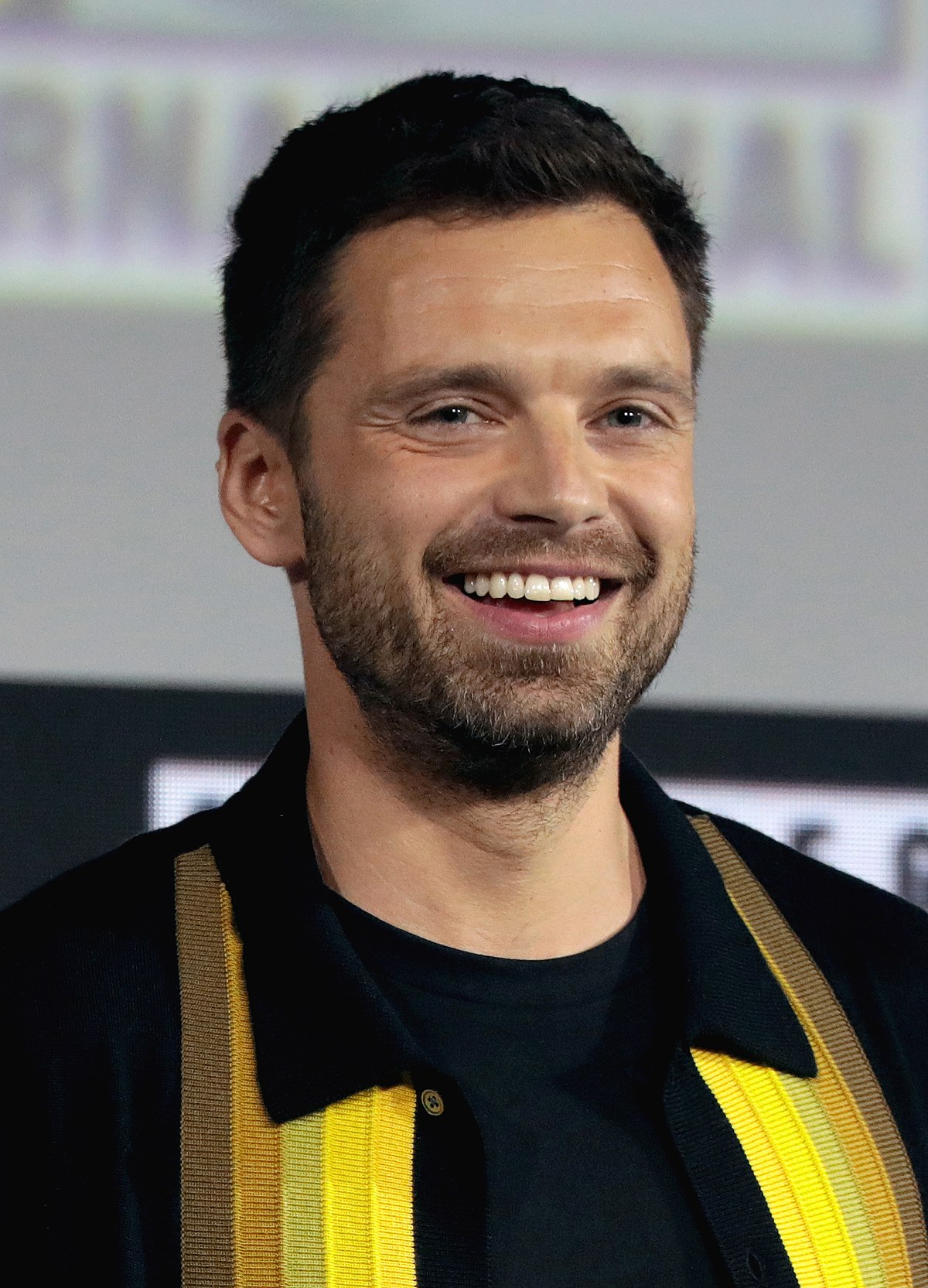 Sebastian Stan Wikipedia