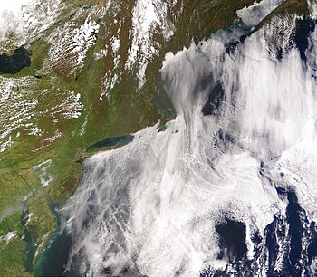 Satellite image of ship tracks, clouds created...