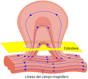 Diagram of the magnetic line structure of a solar flare and its origin caused by deformation of the magnetic field lines in the sun.