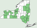 Solidago squarrosa NY-dist-map.png