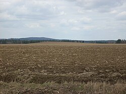 Zahradníkův kopec (508 m n. m.) u Stříteže