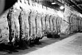 Stanley Kubrick - refrigerated racks of meat cph.3d02347.jpg