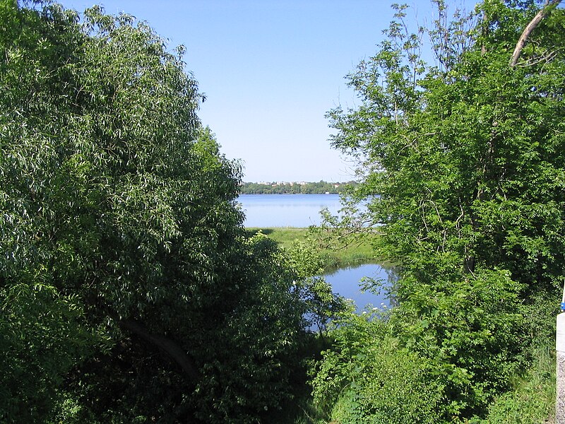 File:Stausee Rötha am Südwestende im Mai 2007.jpg