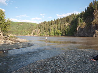 Stikine-River02.jpg