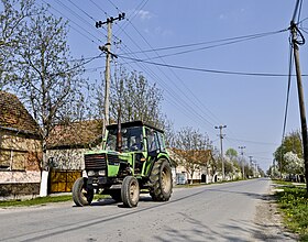 Vojka (Stará Pazova)