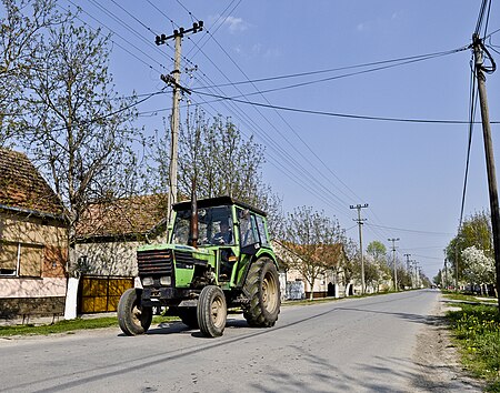 Street in Vojka.jpg