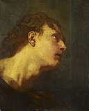 Style of Anthony van Dyck - Head of a Young Man c.1638-50, RCIN 400038.jpg