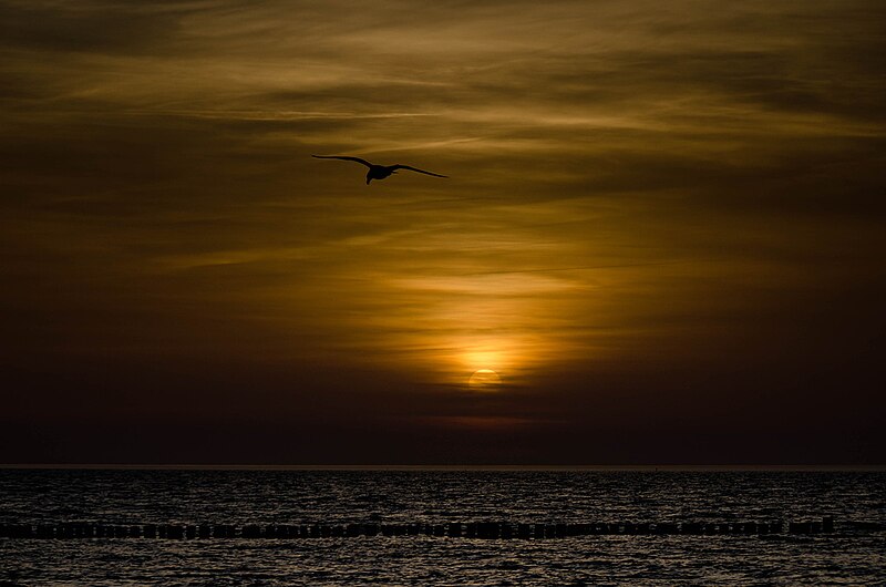 File:Sunrise Warnemünde.jpg