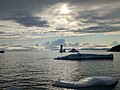 Image of an oddly shaped iceberg taken in Seal Cove]]