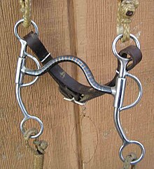 A solid medium-port mouthpiece with ring for a snaffle rein, allowing it to be used as a "cowboy pelham", though shown here with only a single curb rein SweetIronCurb.jpg