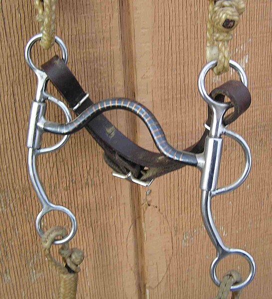 A solid medium-port mouthpiece with ring for a snaffle rein, allowing it to be used as a "cowboy pelham", though shown here with only a single curb re