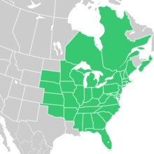 Symphyotrichum pilosum native distribution map: Canada — Ontario, and Québec; US — Alabama, Arkansas, Connecticut, Delaware, District of Columbia, Florida, Georgia, Illinois, Indiana, Iowa, Kansas, Kentucky, Maine, Maryland, Massachusetts, Michigan, Minnesota, Mississippi, Missouri, Nebraska, New Hampshire, New Jersey, New York, North Carolina, Ohio, Oklahoma, Pennsylvania, Rhode Island, South Carolina, South Dakota, Tennessee, Vermont, Virginia, West Virginia, and Wisconsin.