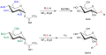 Synthese von n-Alkyl-thioglucopyranosiden über Trichloracetimidate.svg