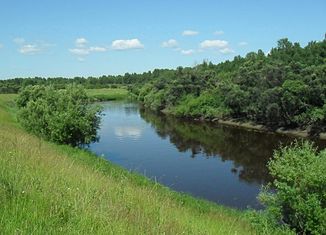 The Tartas near the village of Graschdanzewo, a little below Severnoye