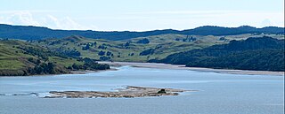 <span class="mw-page-title-main">Tawatahi River</span> River in New Zealand