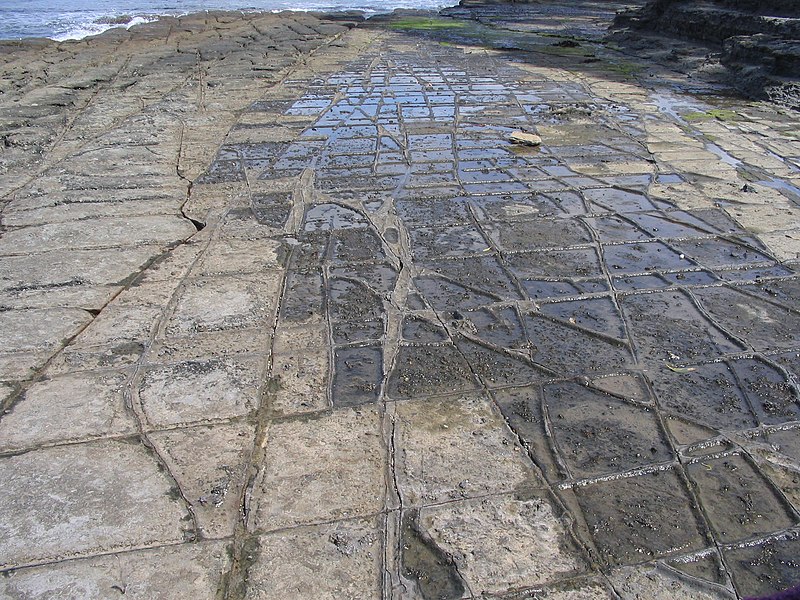 File:Tessellated-Pavement Tasmania closeup.jpg