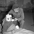 The British Army in North-west Europe 1944-45 B10585.jpg