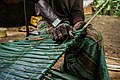 * Nomination He folds a leaf in half neatly across both sticks. he does same for anothe leaf lapping it with the previous, and then, with an even thinly-shaped stick that he breaks off afterwards, pins the the leaves in place, firm.This is an image of "African people at work" by User:Eric Atie --Kritzolina 06:46, 1 December 2019 (UTC) * Decline Focus is not well done, IMO the watch have to be much sharper. A higher f-value would have been better. --Michielverbeek 08:06, 1 December 2019 (UTC)