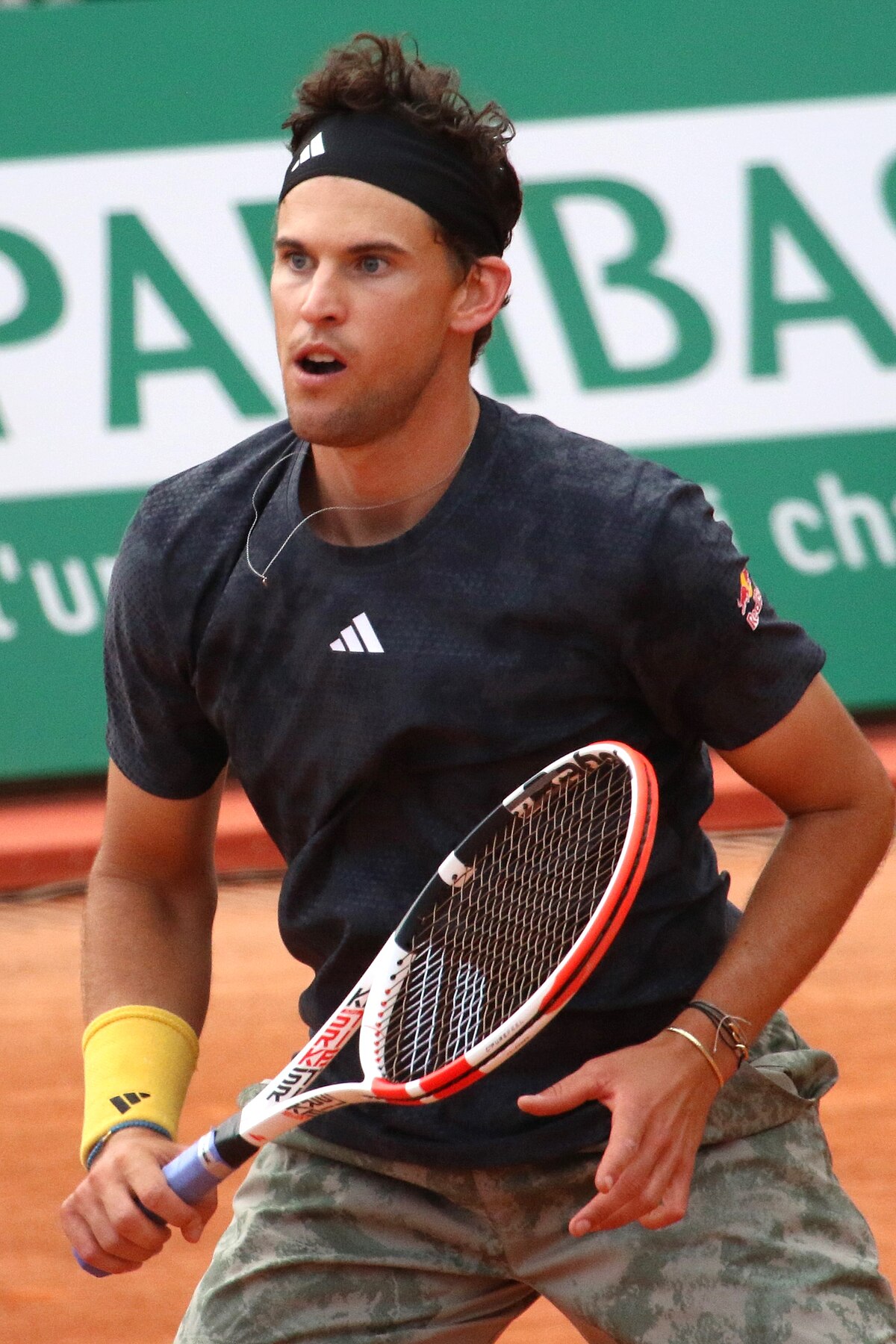 Dominic Thiem #98 Ranked ATP Tennis Player - Videos, Bio