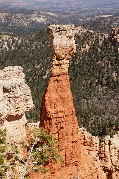 File:Thor's Hammer (Bryce Canyon National Park) (14146499490).jpg