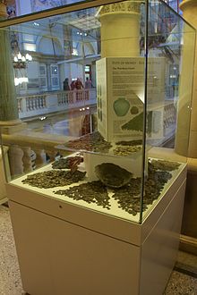 The Hoard on display at the Bristol City Museum and Art Gallery. Thornbury Hoard, Bristol City Museum and Art Gallery 1.jpg