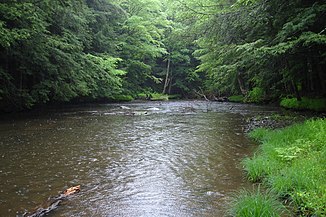 Tionesta Creek nella foresta nazionale di Allegheny