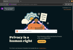 tor browser hidden wiki url mega