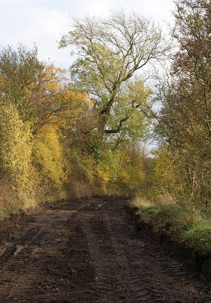 File:Track to Sookholme - geograph.org.uk - 279766.jpg