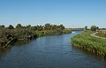 entre Doornenburg y Gendt, el Linge