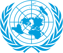 Veiligheidsraad van de Verenigde Naties