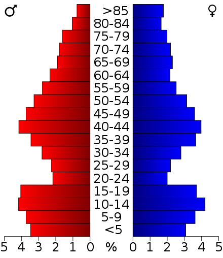 2000 Census Age Pyramid for Vernon County