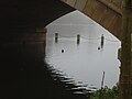 Under Serpentine Bridge.JPG