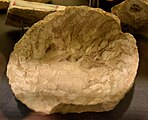 Unfinished ancient Egyptian stone bowl showing how its middle was hollowed. Soft limestone. From a waste around the pyramid at Lahun, Fayum, Egypt. Ptolemaic period.