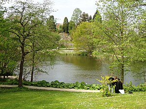 Jardin Botanique De Copenhague