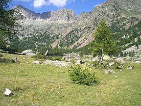 Pian del Valasco, Valle Gesso (Cuneo)