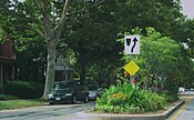 Floral medians are found lining many of the village streets.