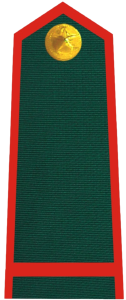 File:Vietnam Border Defense Force Corporal.png