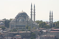 View of Süleymaniye Mosque from the Galata Tower.jpg