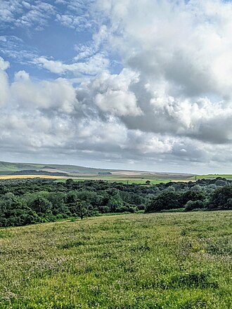 Looking southeast over the east side of Ashcombe Bottom from Blackcap. View over Ashcombe Bottom, East.jpg