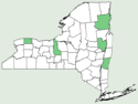 Vitis × labruscana NY-dist-map.png